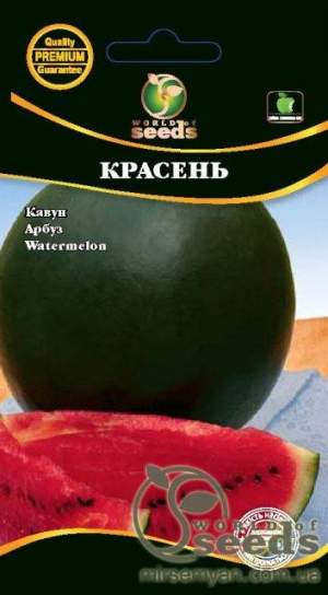 Арбуз