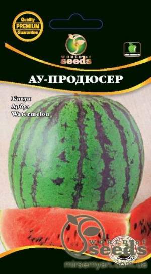 Арбуз