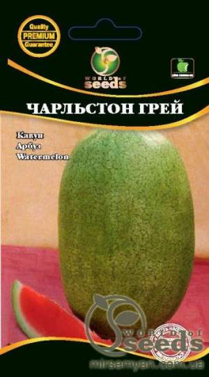 Арбуз