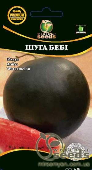 Арбуз