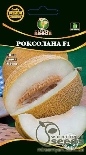 Дыня Дыня