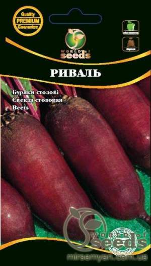 Свекла столовая