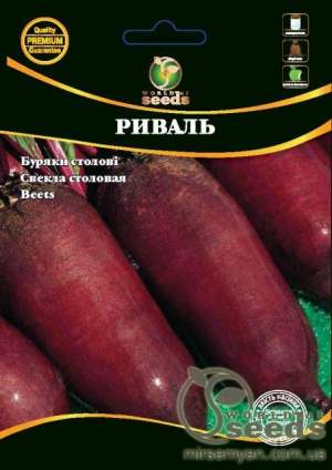 Свекла столовая