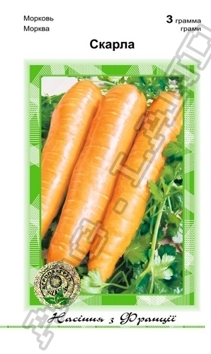 Морковь Скарла – 3 грамма А (Clause Tezier)