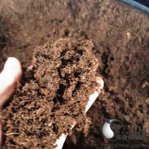 Торф Klasmann Fine/ Класманн TS-3 Fine Aquasave  210л.