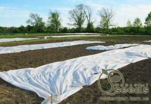 Агроволокно 30 г/кв.м (3,2*10 м) Агроволокно 30 г/кв.м (3,2*10 м)