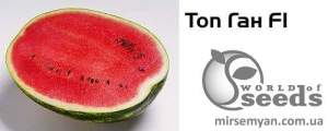 Арбуз Топган 1000 семян. (Syngenta)