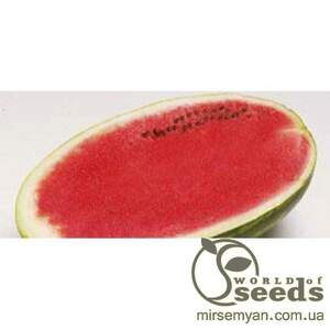 Арбуз Фарао 1000 семян.  (Syngenta)