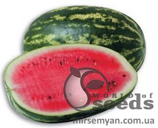 Арбуз Думара F1 1000 семян. (Nunhems) Арбуз Думара F1 1000 семян. (Nunhems)