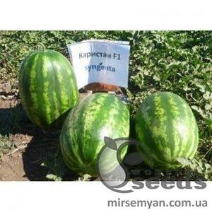 Арбуз Каристан 1000 семян. (Syngenta)