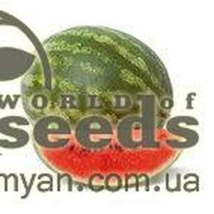 Арбуз Колумбия 62-281 F1 1000 семян. (Rijk Zwaan)