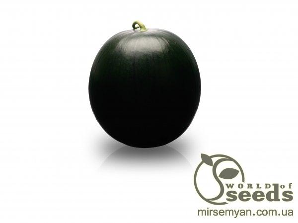 Арбуз Баронесса F1 1000 семян. (Rijk Zwaan) Арбуз Баронесса F1 1000 семян. (Rijk Zwaan)