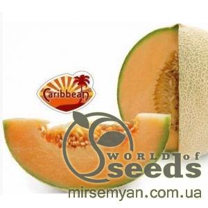 Дыня Карибиан Голд F1 100 семян. А  (Rijk Zwaan)