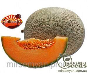 Дыня Карибиан Голд F1 100 семян. А (Rijk Zwaan) Дыня Карибиан Голд F1 100 семян. А (Rijk Zwaan)