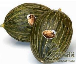 Дыня Рикура F1 100 семян. (Rijk Zwaan)