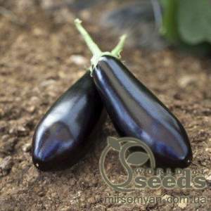 Баклажаны Шарапова F1. 1000 семян. (Rijk Zwaan)