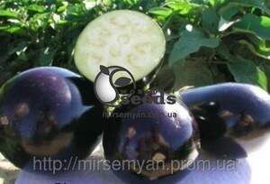 Баклажан Тиррения F1. 1000 семян.  (Nunhems)