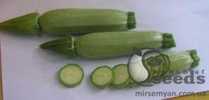 Кабачок Кавили F1 1000н (Nunhems) Кабачок Кавили F1 1000н (Nunhems)