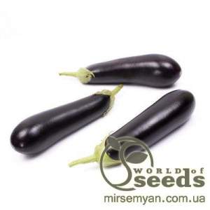 Баклажаны Бриджит F1. 100 семян. (Rijk Zwaan)
