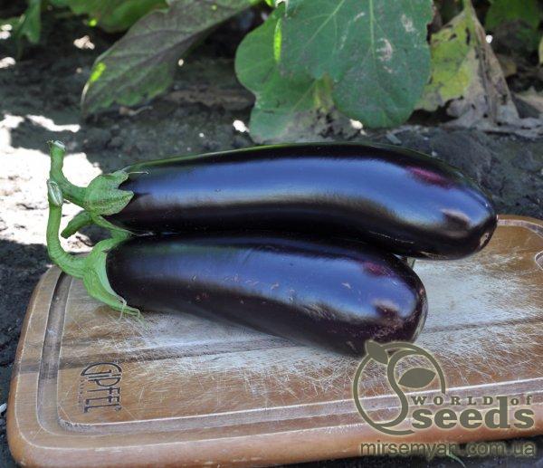 Баклажаны Эстелле F1. 100 семян. (Rijk Zwaan) Баклажаны Эстелле F1. 100 семян. (Rijk Zwaan)