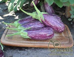 Баклажаны Лейре F1. 1000 семян. (Rijk Zwaan)