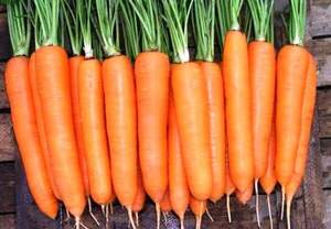 Морковь  