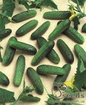 Огурец Мирабелл F1 250м