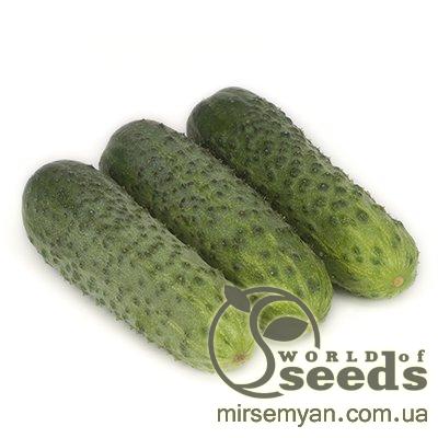 Огурец Караоке F1 1000 семян. (Rijk Zwaan) Огурец Караоке F1 1000 семян. (Rijk Zwaan)