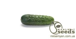 Огурец Ленара F1 250 семян. (Rijk Zwaan) Огурец Ленара F1 250 семян. (Rijk Zwaan)