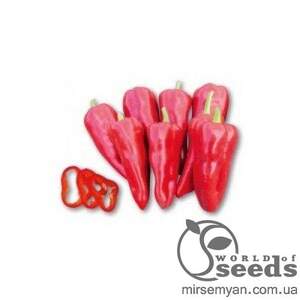 Перец Самандер 1000 семян. (Nunhems)