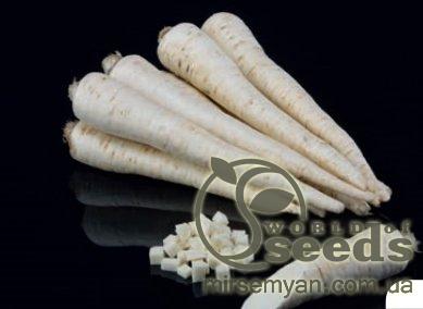 Петрушка Игл/Eagl (корневая) 50гр. (Bejo) Петрушка Игл/Eagl (корневая) 50гр. (Bejo)