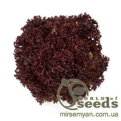 Салат Кармеси 1000 семян. драж. (Rijk Zwaan) Салат Кармеси 1000 семян. драж. (Rijk Zwaan)