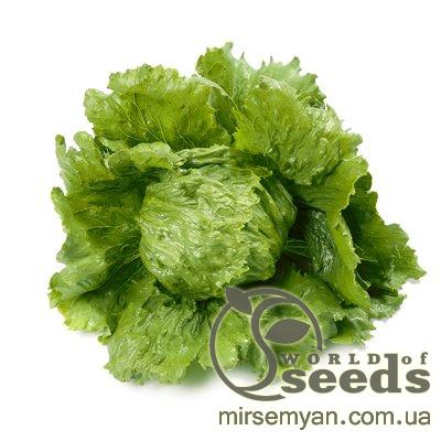 Салат Диамантинас, 1000 семян. драж. (Rijk Zwaan) Салат Диамантинас, 1000 семян. драж. (Rijk Zwaan)