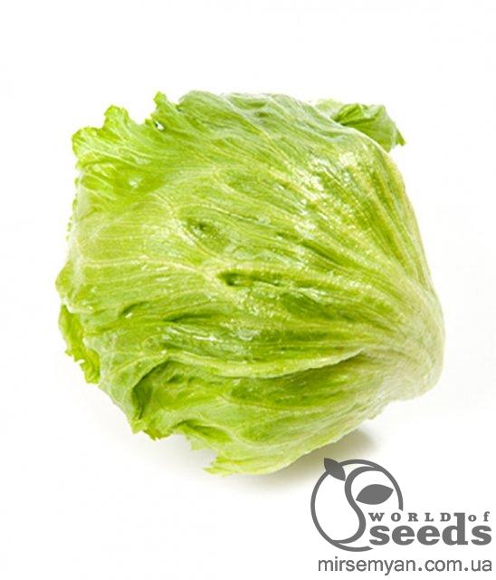 Салат Гондор F1/ 5000 семян. (Nunhems) Салат Гондор F1/ 5000 семян. (Nunhems)
