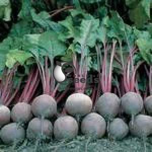 Свекла Пабло F1 50 000 семян. (Bejo)о