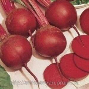 Свекла Пабло F1 50 000 семян. (Bejo)о Свекла Пабло F1 50 000 семян. (Bejo)о