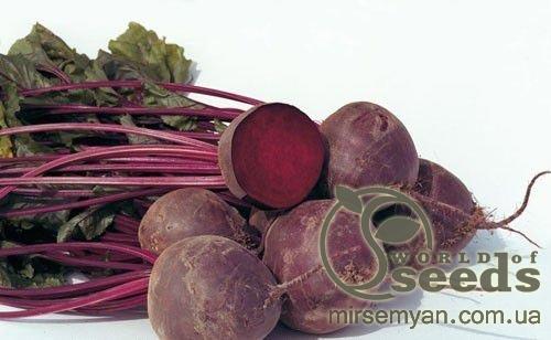 Свекла Боро F1 10 000 семян. (Bejo) Свекла Боро F1 10 000 семян. (Bejo)