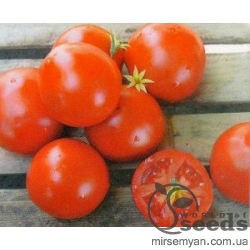 Томат Отранто F1 1000 семян. (Nunhems) Томат Отранто F1 1000 семян. (Nunhems)