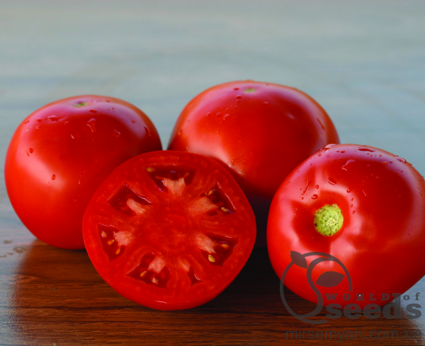 Томат Платинум F1 1000 семян. (Nunhems) Томат Платинум F1 1000 семян. (Nunhems)