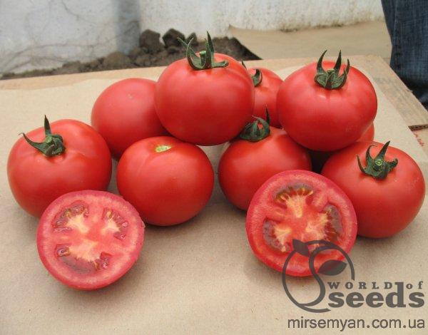 Томат Валдай F1 500 семян. (Nunhems) Томат Валдай F1 500 семян. (Nunhems)