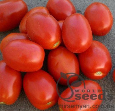 Томат Адванс F1 5 000 семян. (Nunhems) Томат Адванс F1 5 000 семян. (Nunhems)