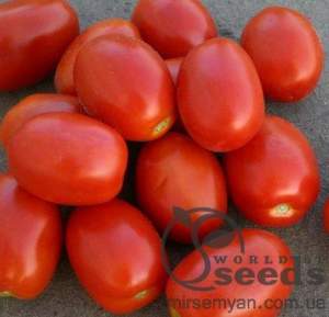 Помидоры Адванс F1 1000 семян. (Nunhems)