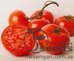 Помидоры Аксиома F1 500 семян.  (Nunhems)