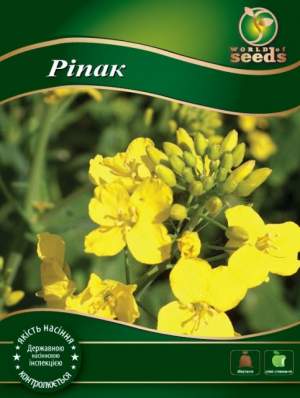 Рапс на сидераты 25 кг