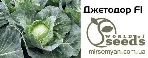Капуста Джетодор F1, 2500 семян. (Syngenta) Капуста Джетодор F1, 2500 семян. (Syngenta)
