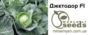 Капуста Джетодор F1,  2500 семян. (Syngenta)