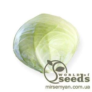 Капуста Муксума (калибр) F1 2500 семян. (Rijk Zwaan) Капуста Муксума (калибр) F1 2500 семян. (Rijk Zwaan)