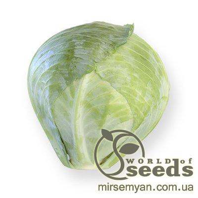 Капуста Сторема (калибр) F1 1000 семян. (Rijk Zwaan) Капуста Сторема (калибр) F1 1000 семян. (Rijk Zwaan)