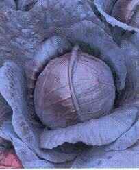 Капуста Родимая F1 1000 семян. (Rijk Zwaan) Капуста Родимая F1 1000 семян. (Rijk Zwaan)