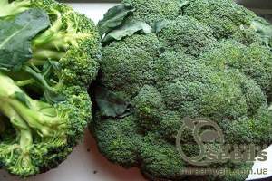 Капуста брокколи Монако F1,  2500 семян. (Syngenta)